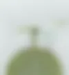 CHIAYUM badge used as a tag for Aurora melons