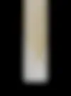 The fore-edge